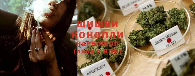 hydra вход  Беломорск  Марихуана SATIVA & INDICA  купить закладку 